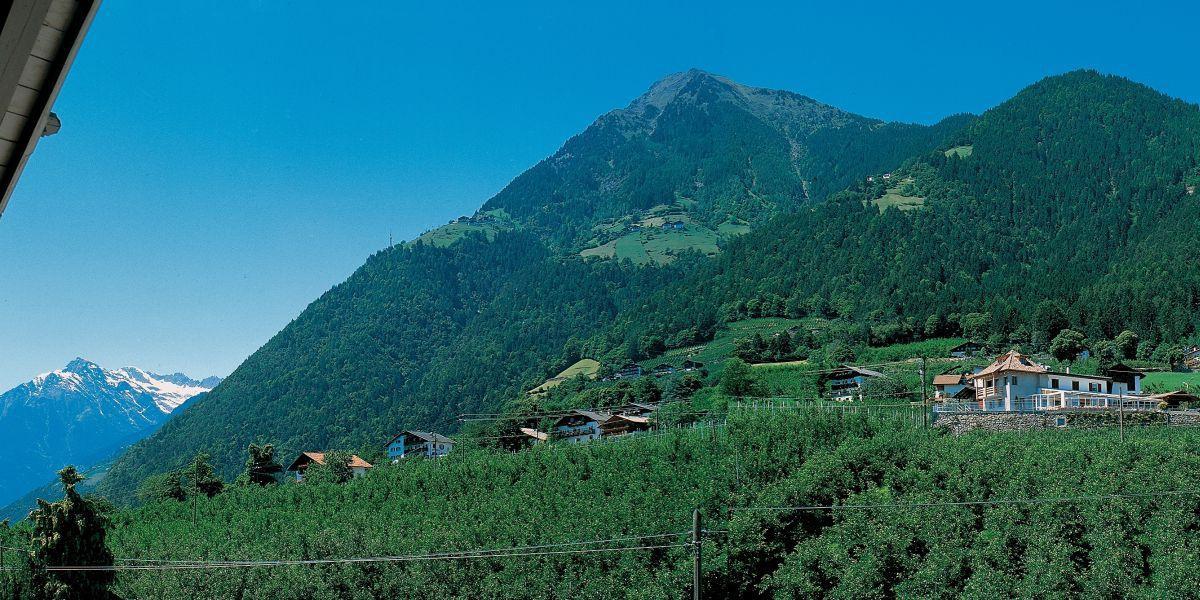 Hotel Alpentirolis f5e602b3b125487c925f1555895db9ef