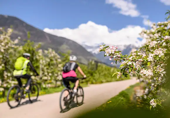 E-Bike & Genusstouren