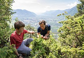 Familienfreundliche Unterkünfte in Dorf Tirol