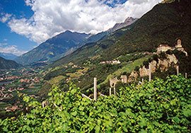 Veranstaltungen Übersicht